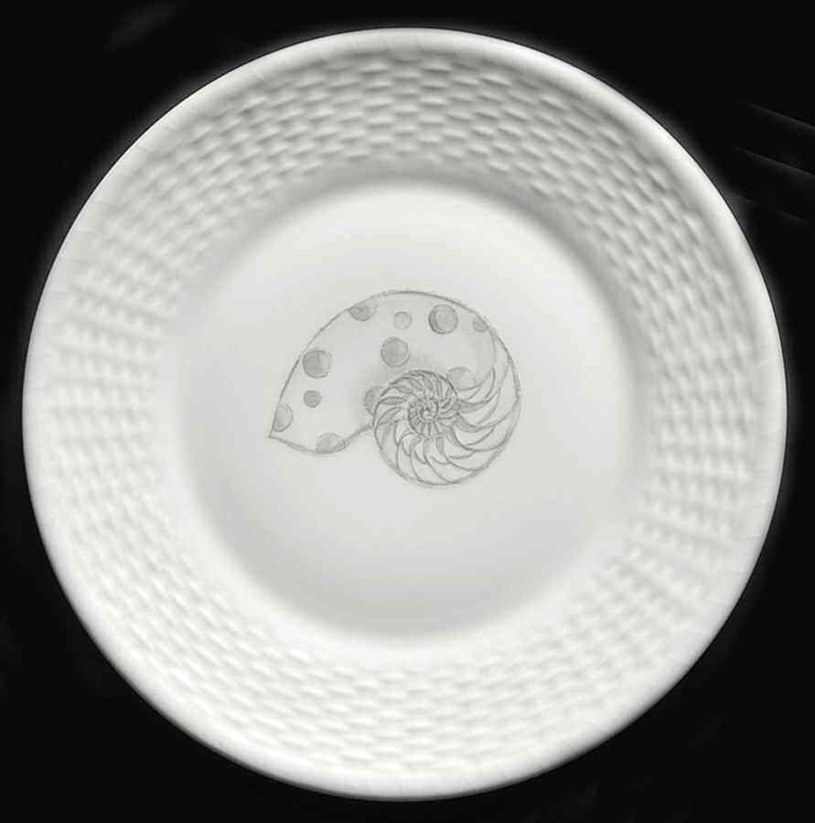 Wedgwood Nantucket Accent Luncheon Plate 5758565