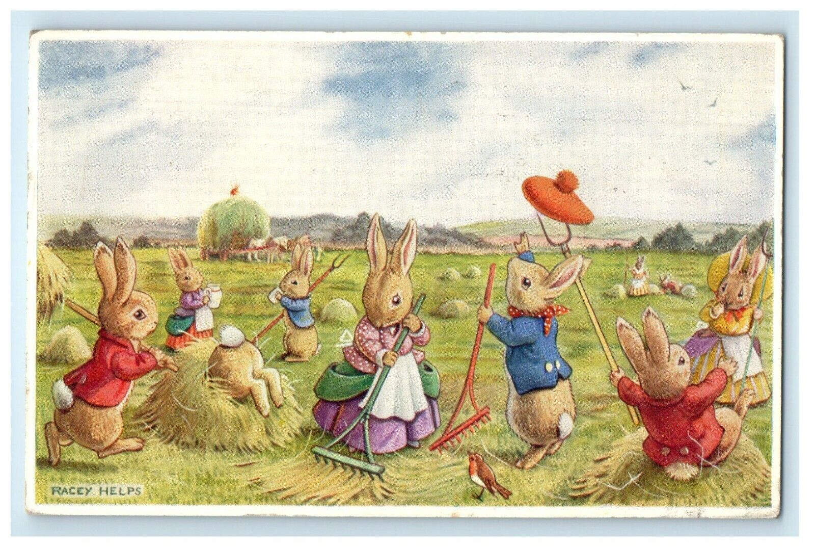 1955 Anthropomorphic Dress Rabbit At Field Rake Grass Racey Helps Postcard