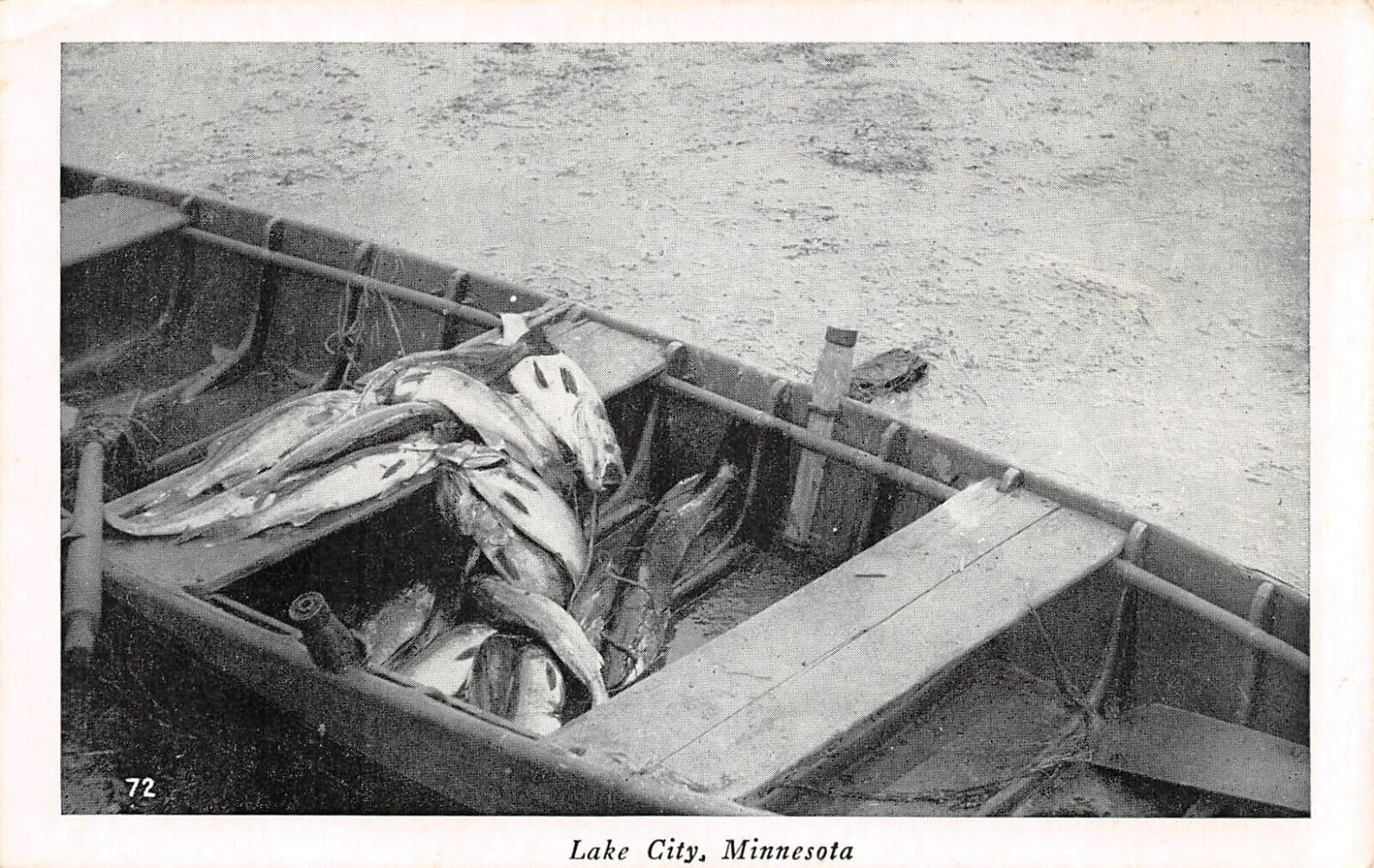 UPICK POSTCARD Lake City Minnesota Boat Load of Fish c1930 Unposted