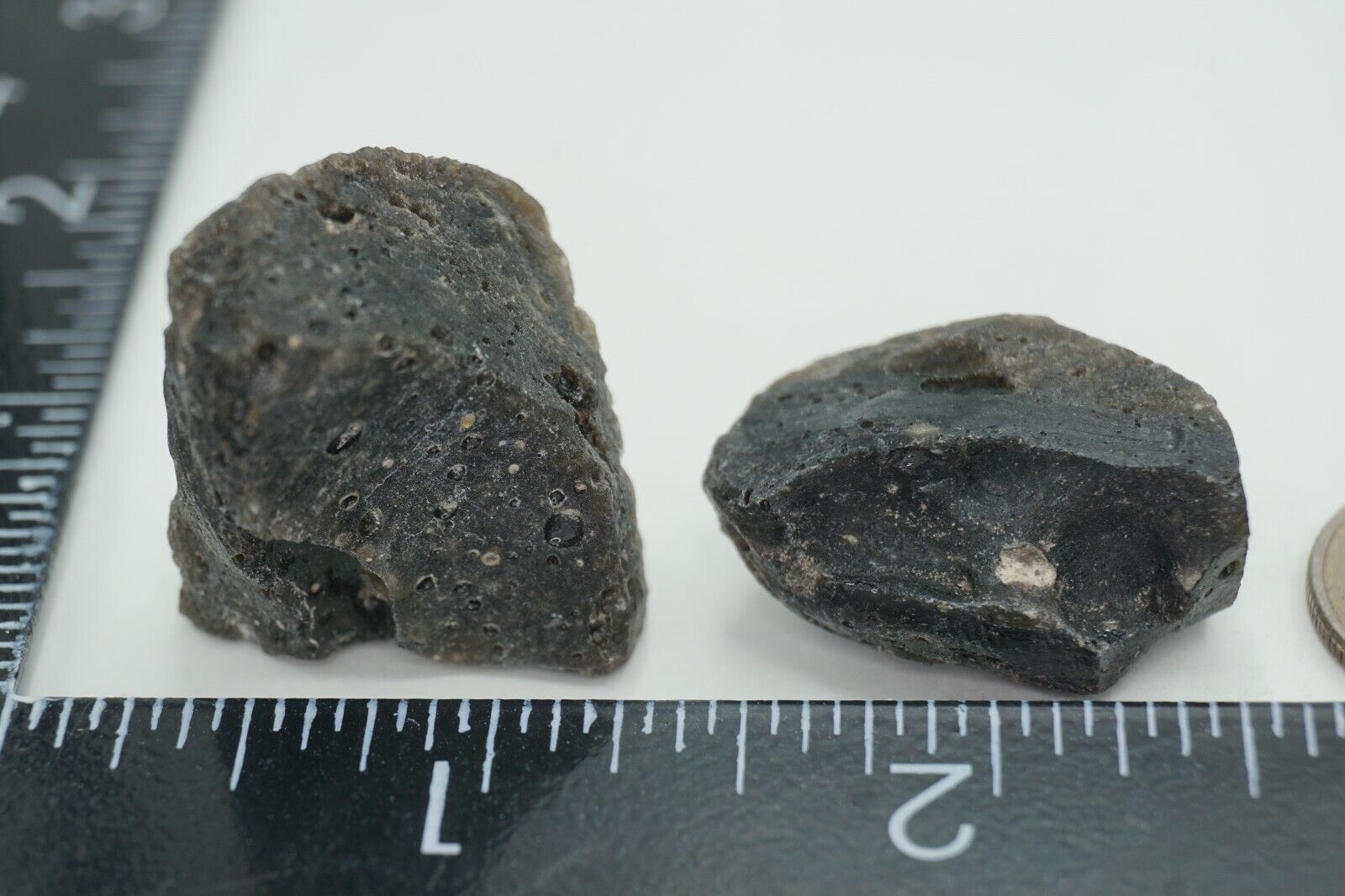 Darwin Glass -- 22g - Austalite - Darwinite - tektite - impactite #gls27a