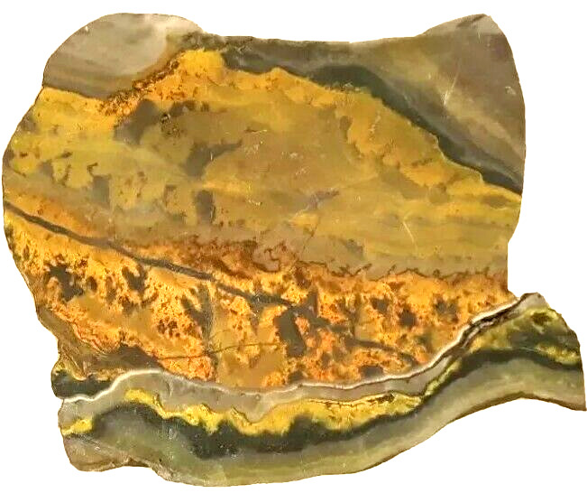 Amazing large BUMBLEBEE Jasper rhyolite 7.47oz 7.6mm yellow orange black gray