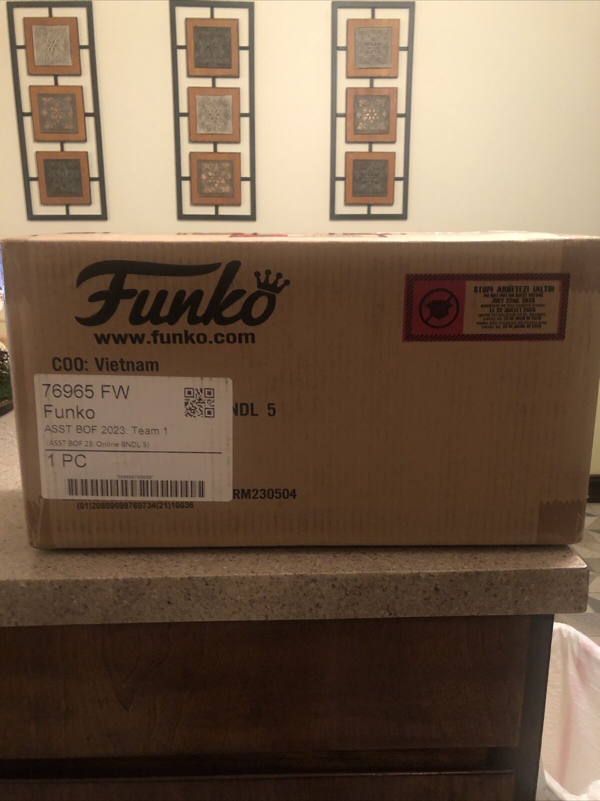 Team 1 Bundle 5 - FUNKO Camp Fundays 2023 Box of Fun Factory Sealed IN HAND