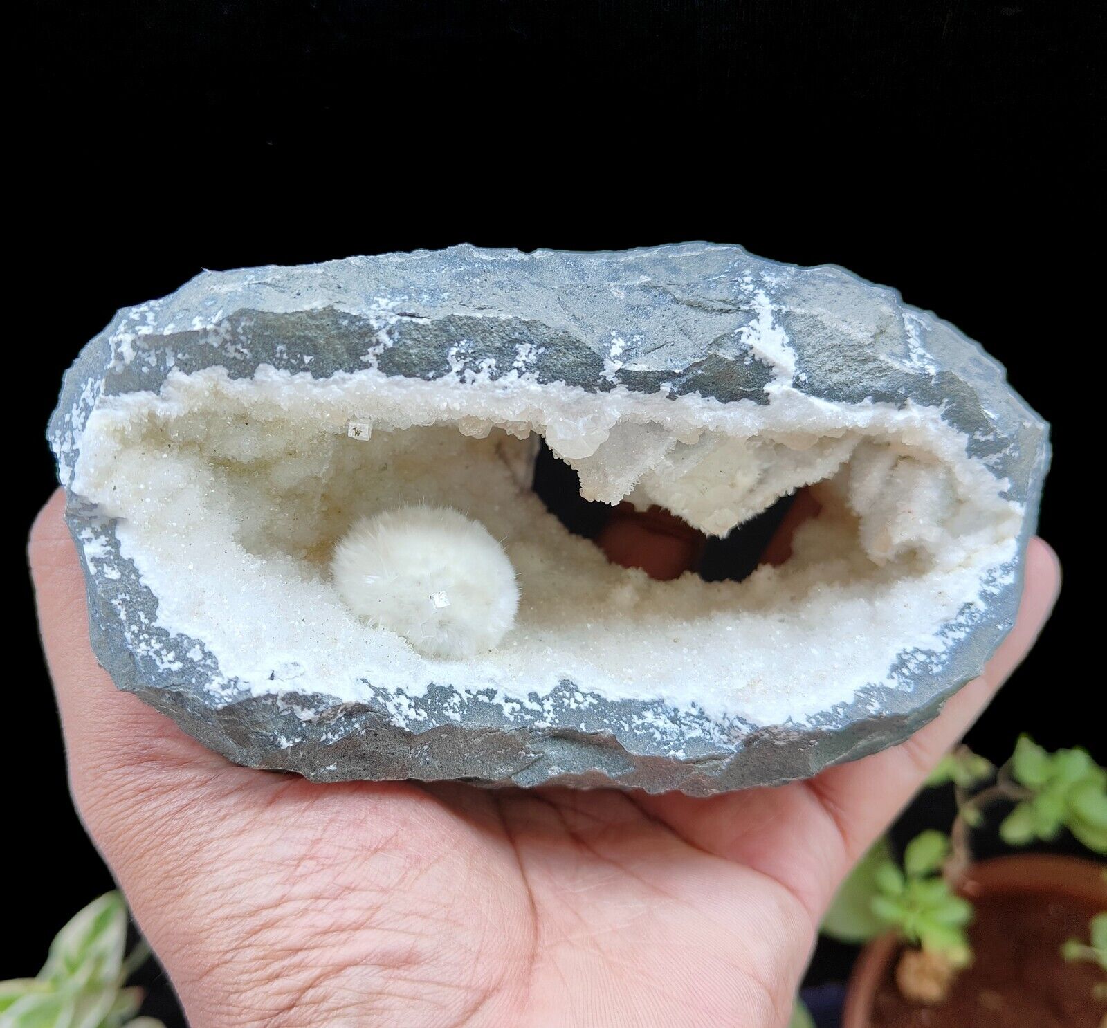 Natural Okenite with Gyrolite and Apophyllite in Geode Mineral Specimen #E79