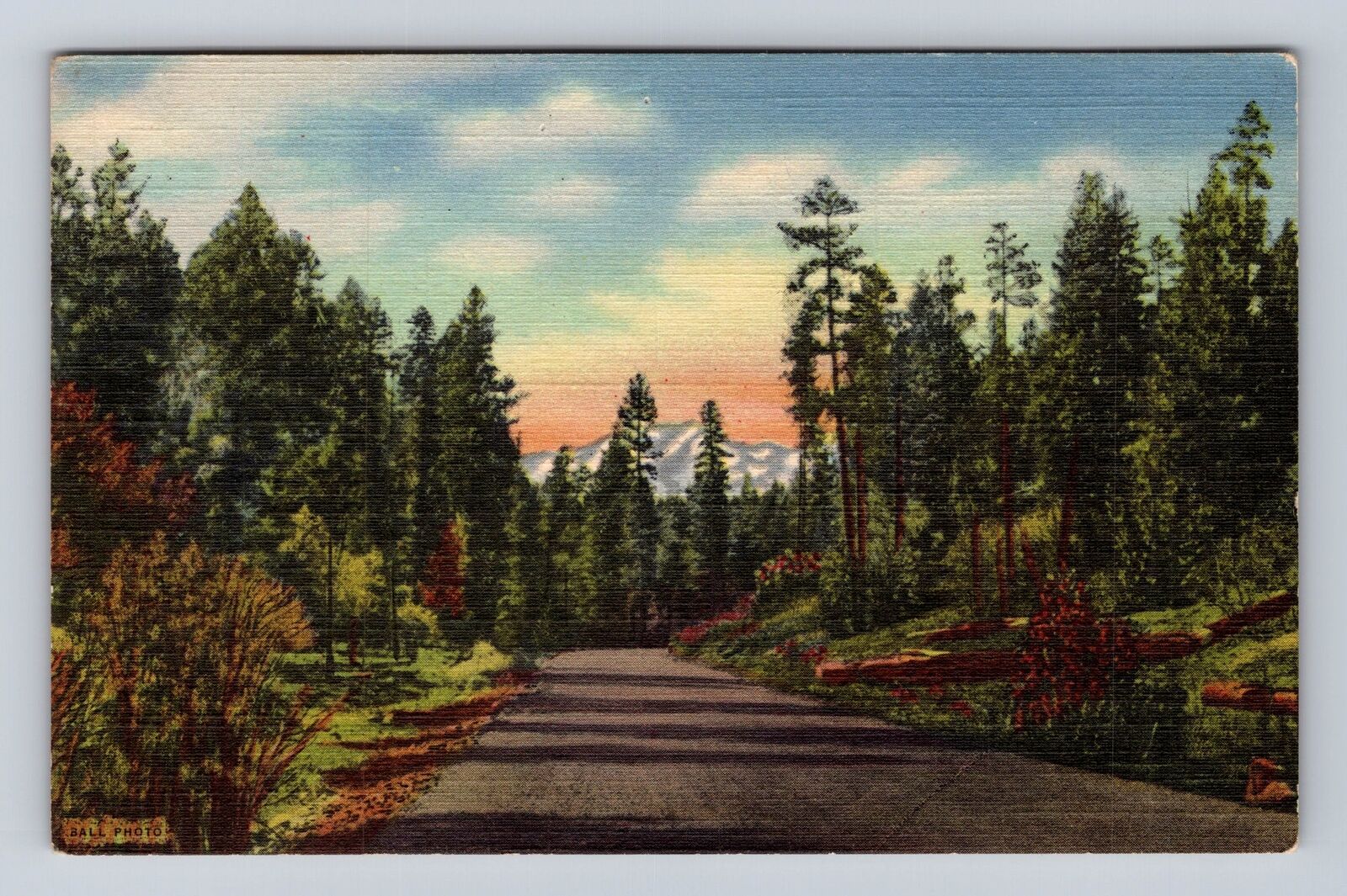 Roswell NM- New Mexico, Scenic Highway US 70, Antique, Vintage Souvenir Postcard