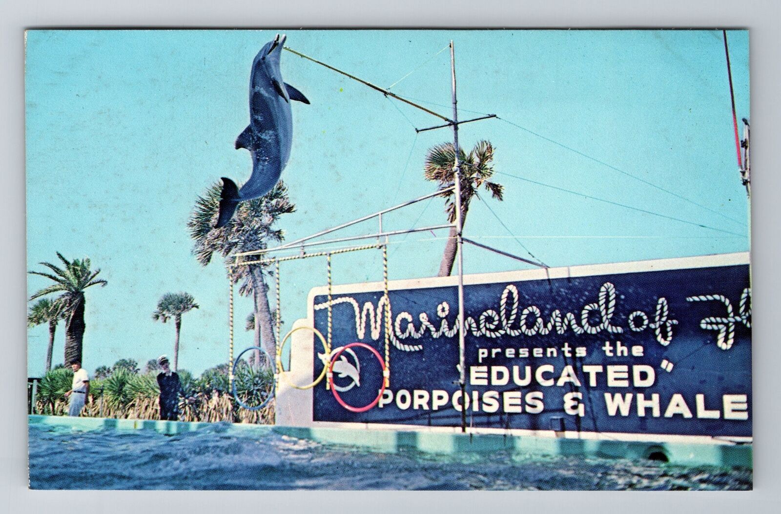 St Augustine FL-Florida, Marineland, High Jumping Porpoise, Vintage Postcard