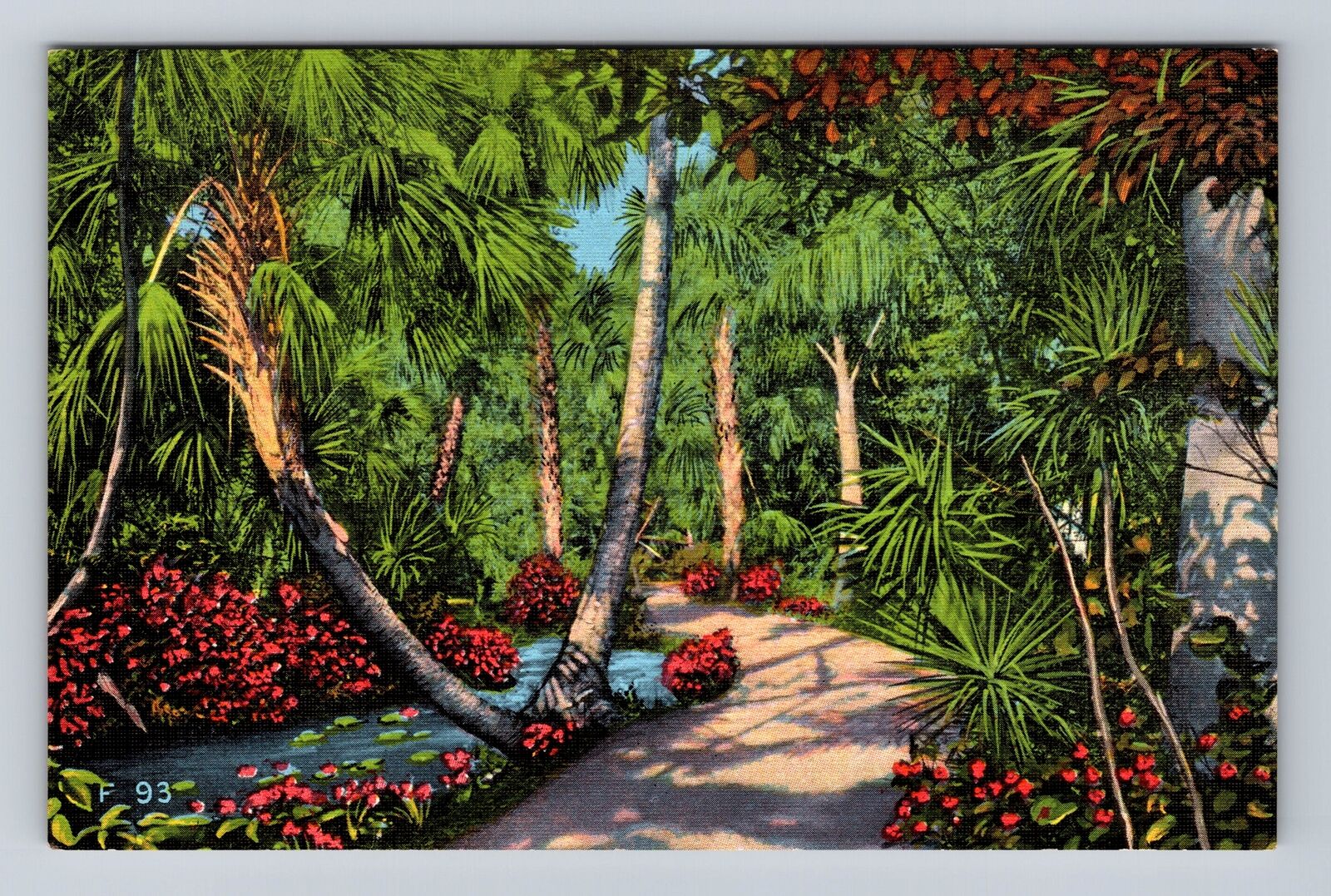 Vero Beach FL-Florida, McKee Jungle Gardens Shrubbery, Vintage Souvenir Postcard