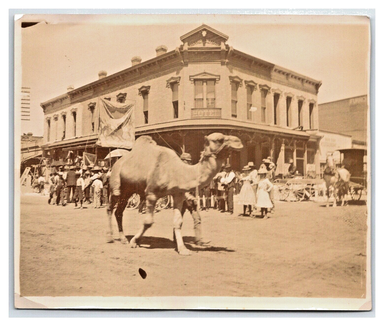 Albuquerque New Mexico NM ~ 1885c Photo ~Central (Railroad ave) & 1st st. CAMEL