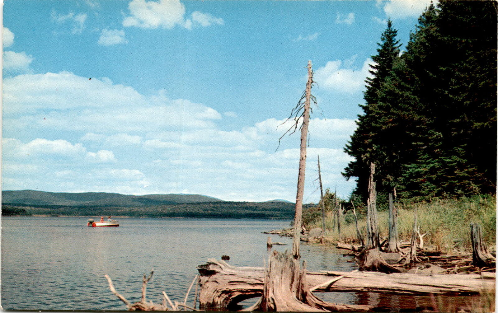 Stunning North Country NH Postcard - Connecticut Lakes, Forests
