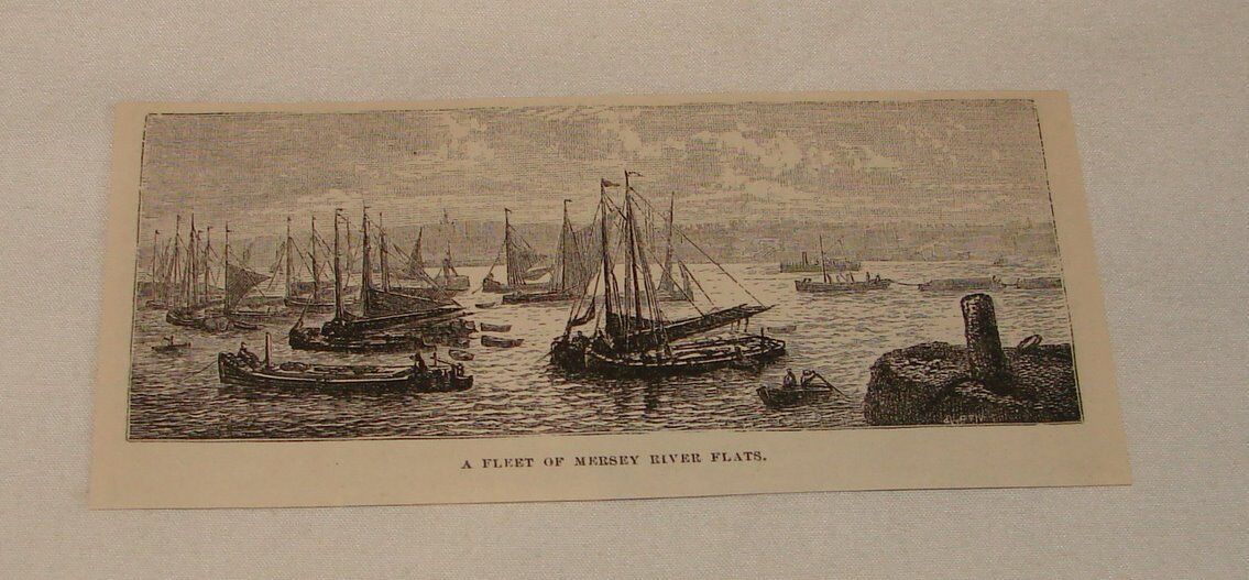 1879 magazine engraving ~ A FLEET OF MERSEY RIVER FLATS, Liverpool