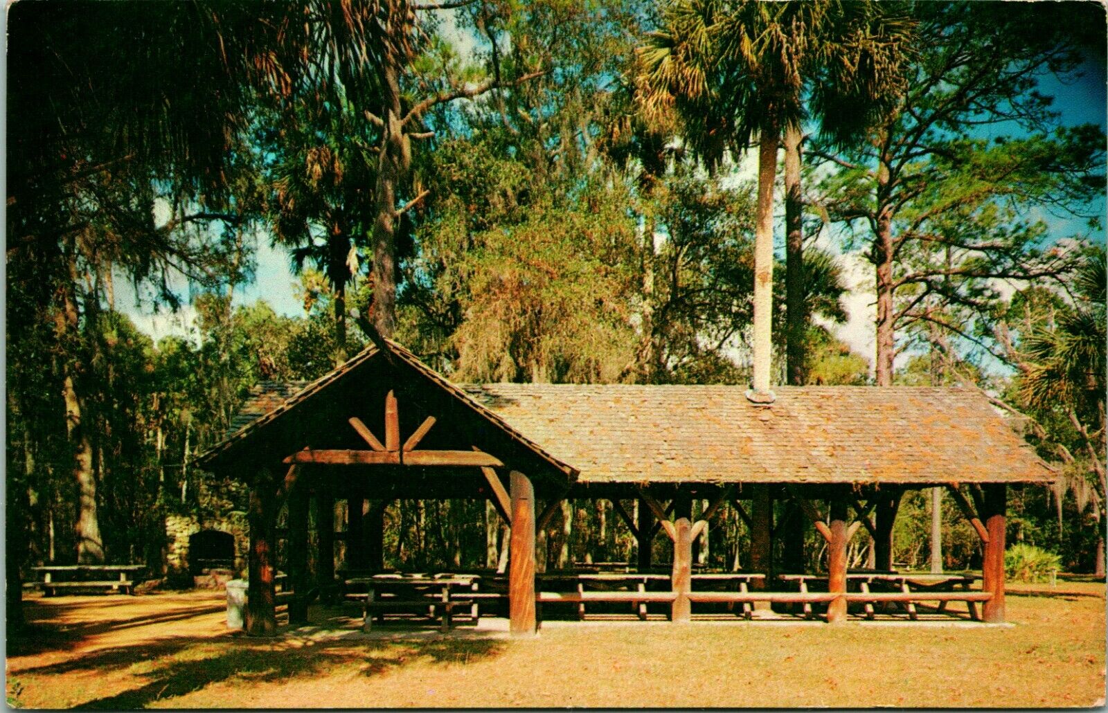 Vtg Postcard Ocala National Forest Florida FL Juniper Springs Recreation Area