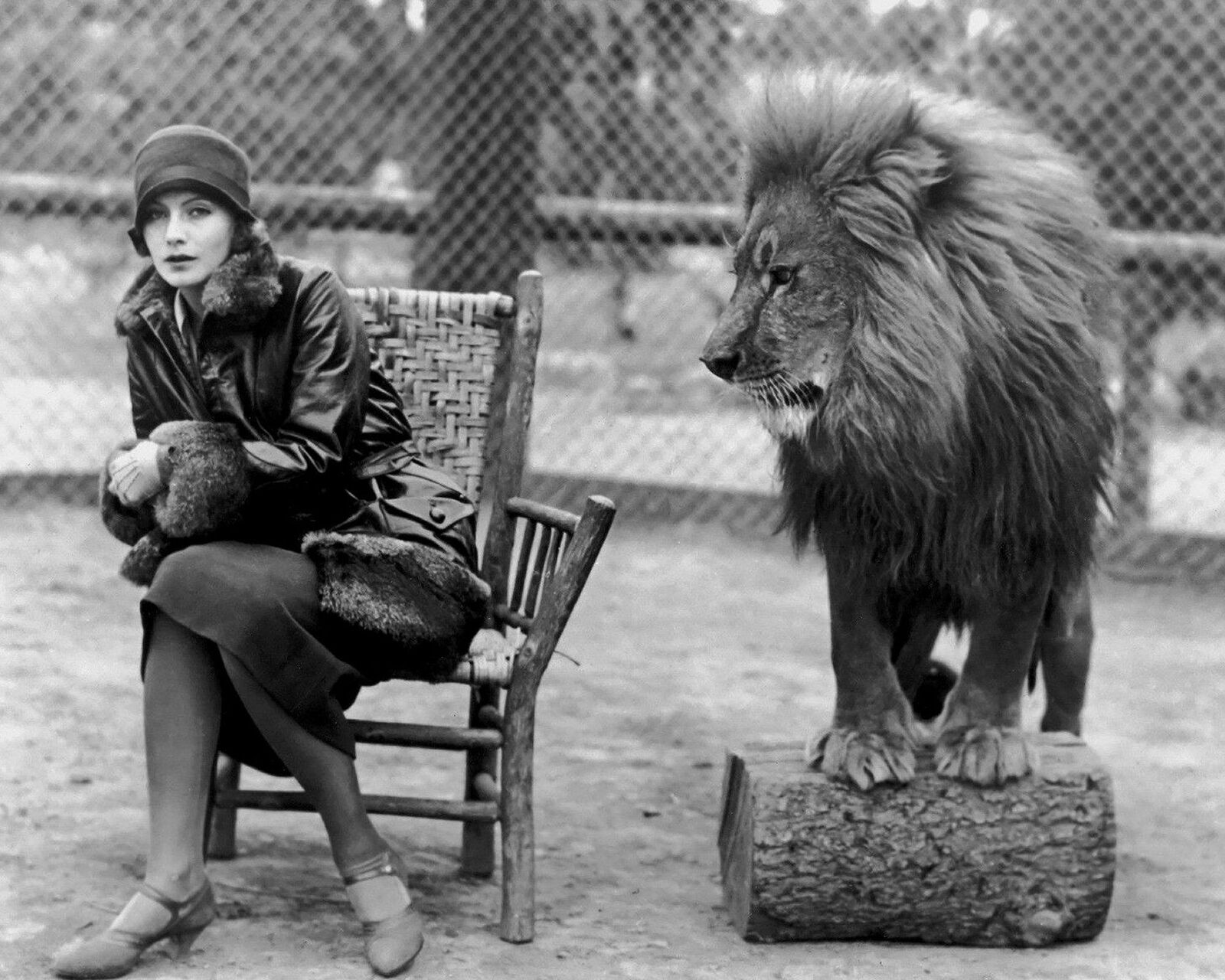 1926 GRETA GARBO & THE MGM LION Photo   (230-i)