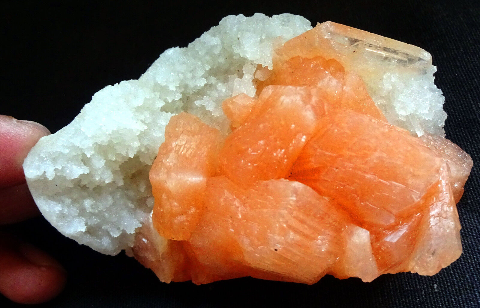 STUNNING RED STILBITE BOWS ON CORAL CHALCEDONY BASE #16.1*