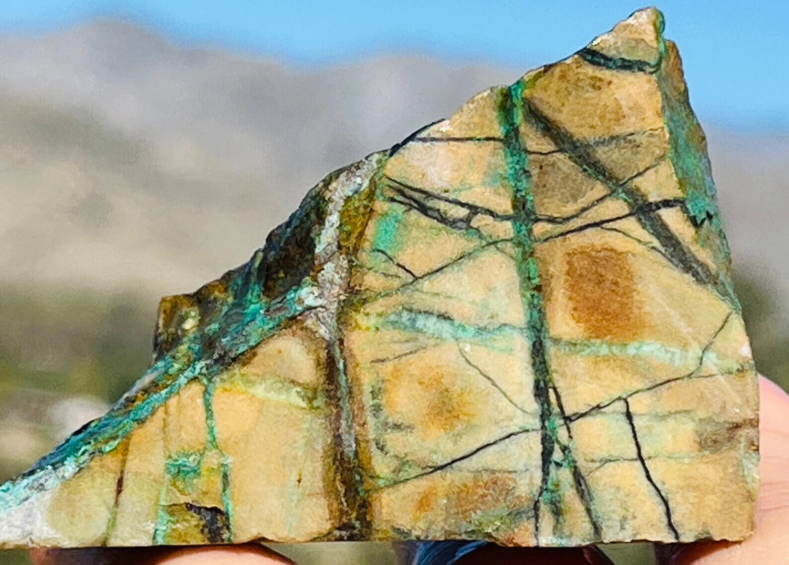 351cts Rough Raw Untreated Green Nevada Seam Turquoise Lady Luck Mine