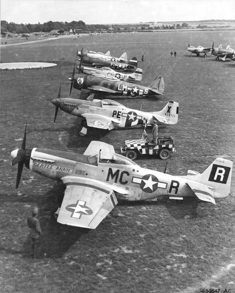 WWII Photo P-51 Mustang and P-47 Thunderbolt Fighters Lined Up  WW2 / 5132