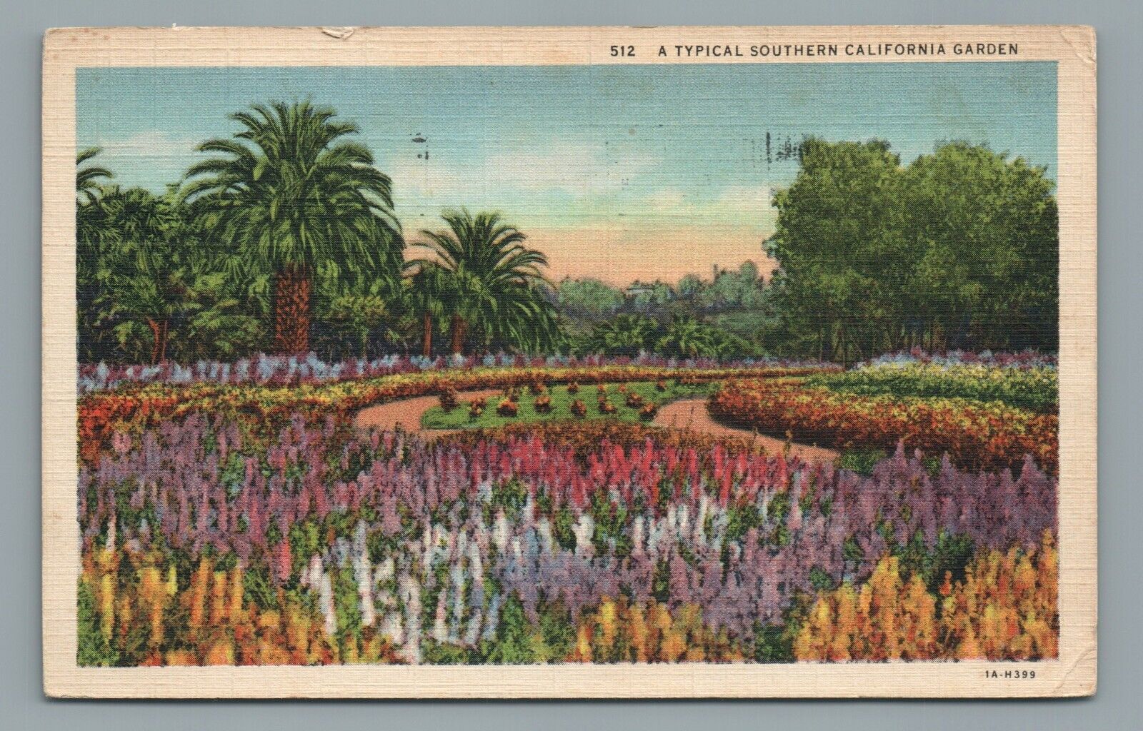 A Typical Southern California Garden Flowers Trees Vintage Postcard Posted 1936