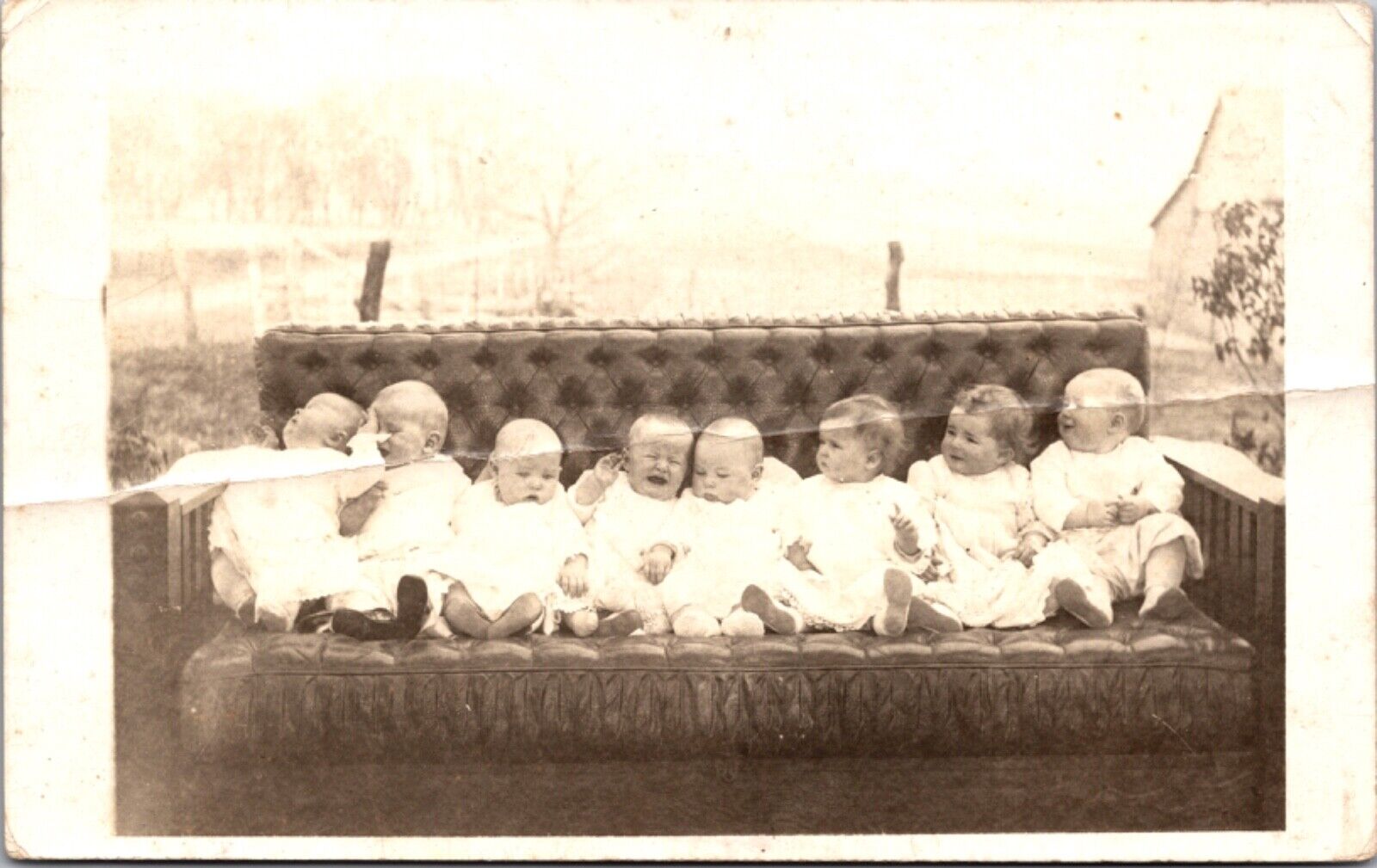 Real Photo Postcard Eight Babies Sitting on a Couch