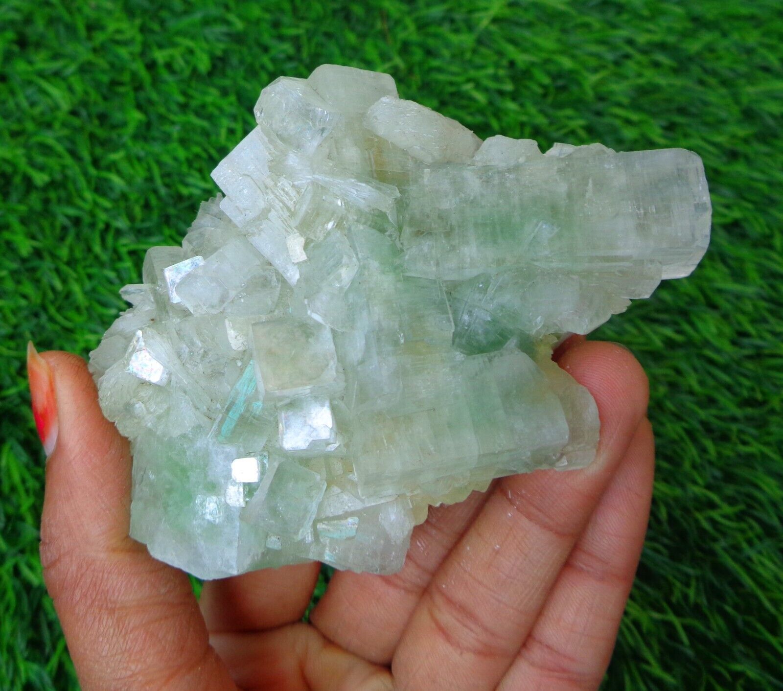 Light Green Apophyllite Crystals Minerals Specimen #F64