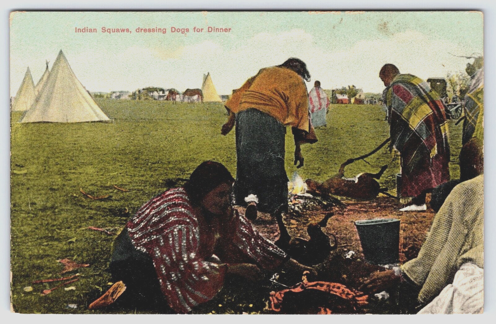 1911 Montana Postcard Native American Indian Squaw Dressing Dogs For Dinner