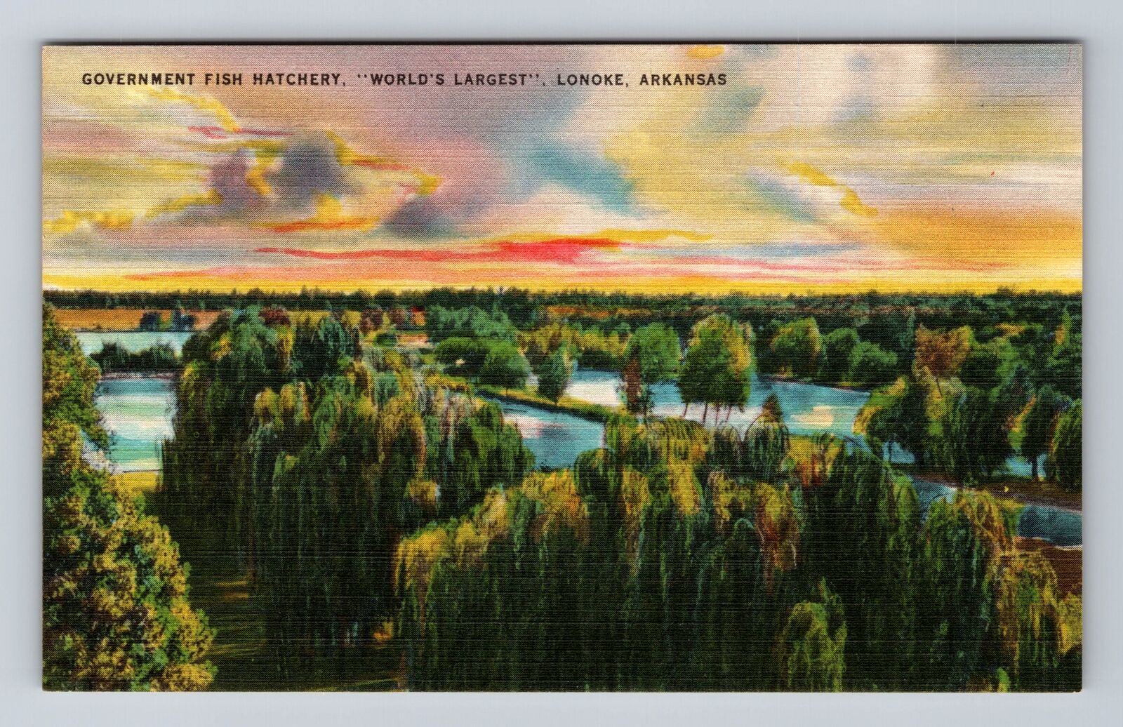 Lonoke AR-Arkansas, Aerial Government Fish Hatchery, Antique, Vintage Postcard