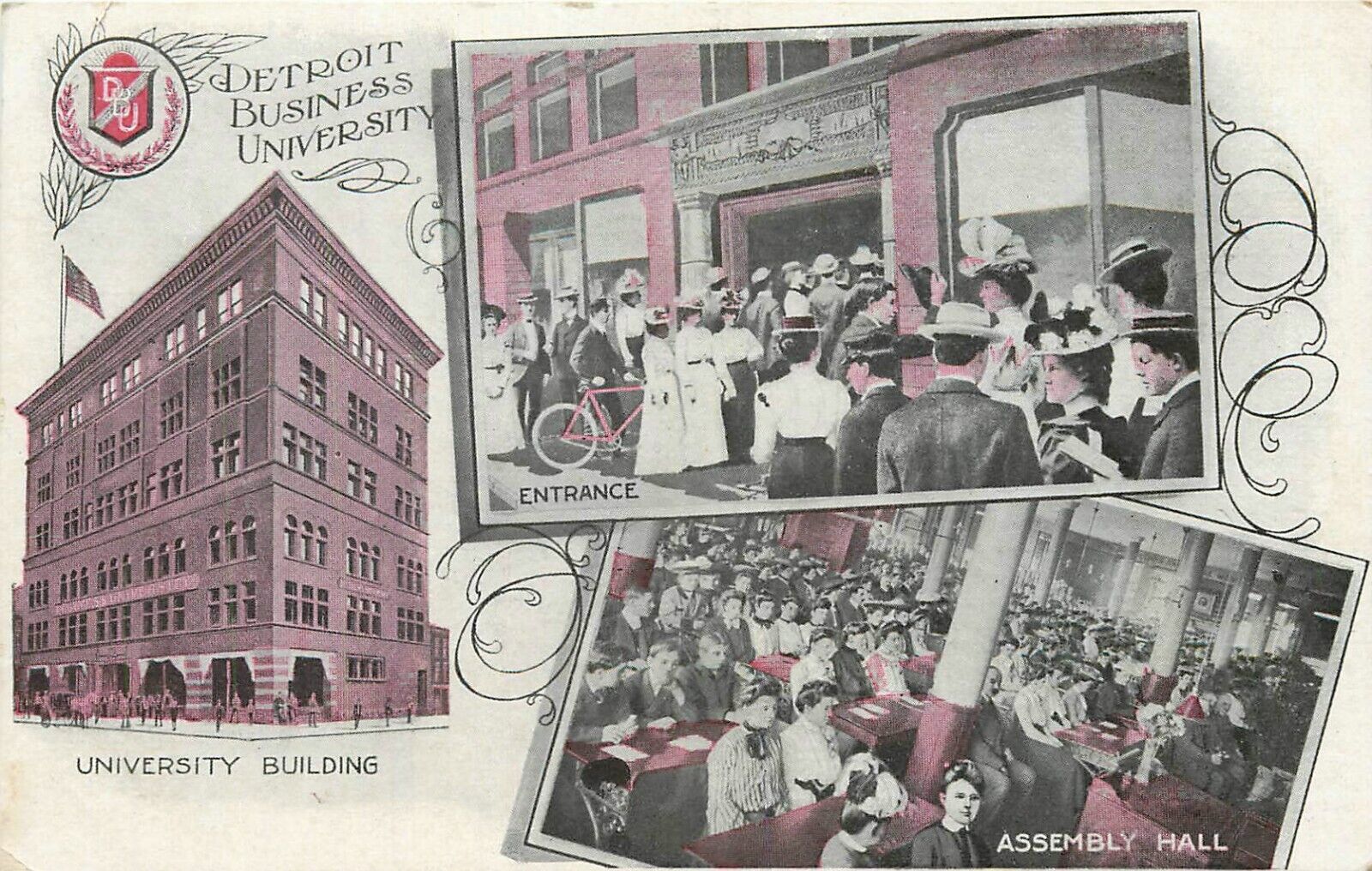 c1905 Detroit Business University, Detroit, Michigan Postcard