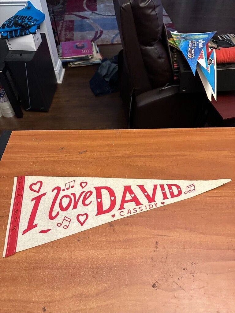 Vintage Pennant rare 1972 I love David Cassidy 23 inches