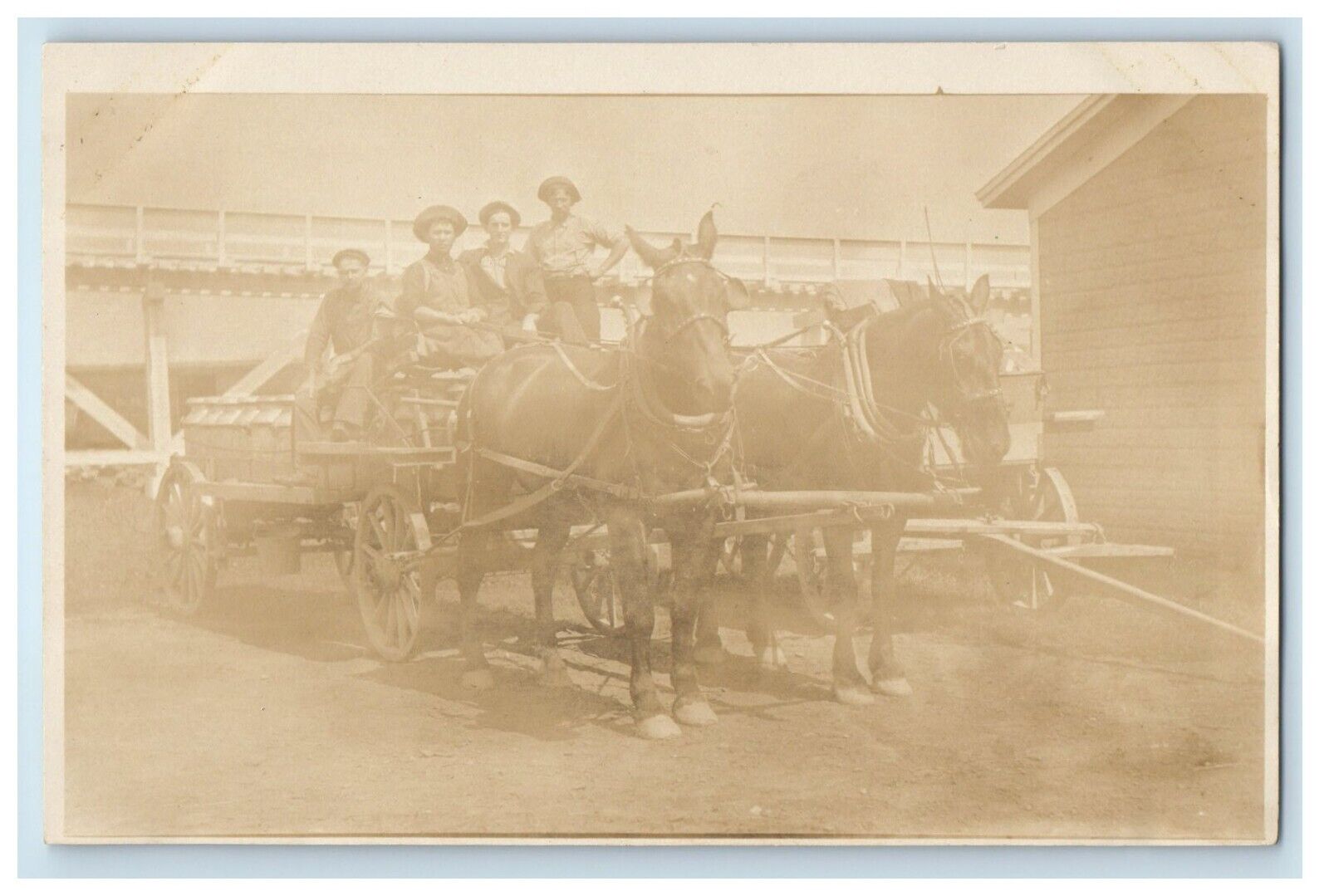 c1910\'s Milk Cart Horses Carriage RPPC Photo Unposted Antique Postcard