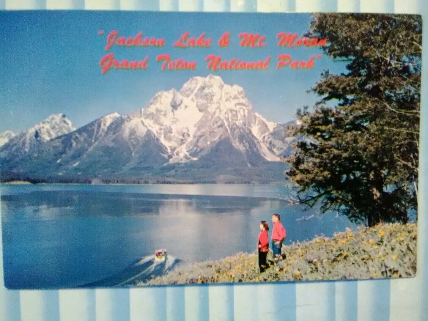 POST CARD JACKSON LAKE & MT MORAN TETON NATIONAL PARK..
