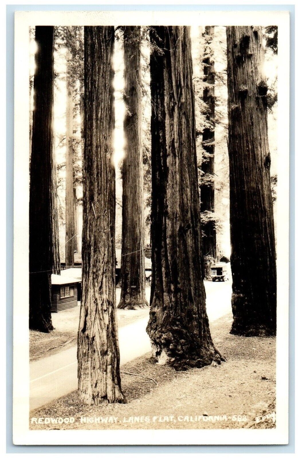 c1940's Redwood Highway Lanes Flat California CA, Car Eddy RPPC Photo Postcard