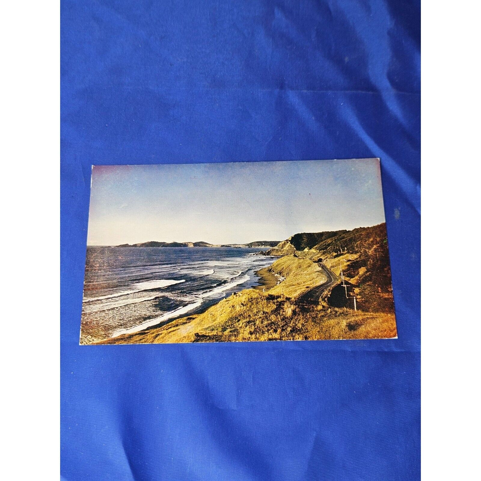 Vintage Color Kard Oregon Coast Highway Postcard Chrome Divided