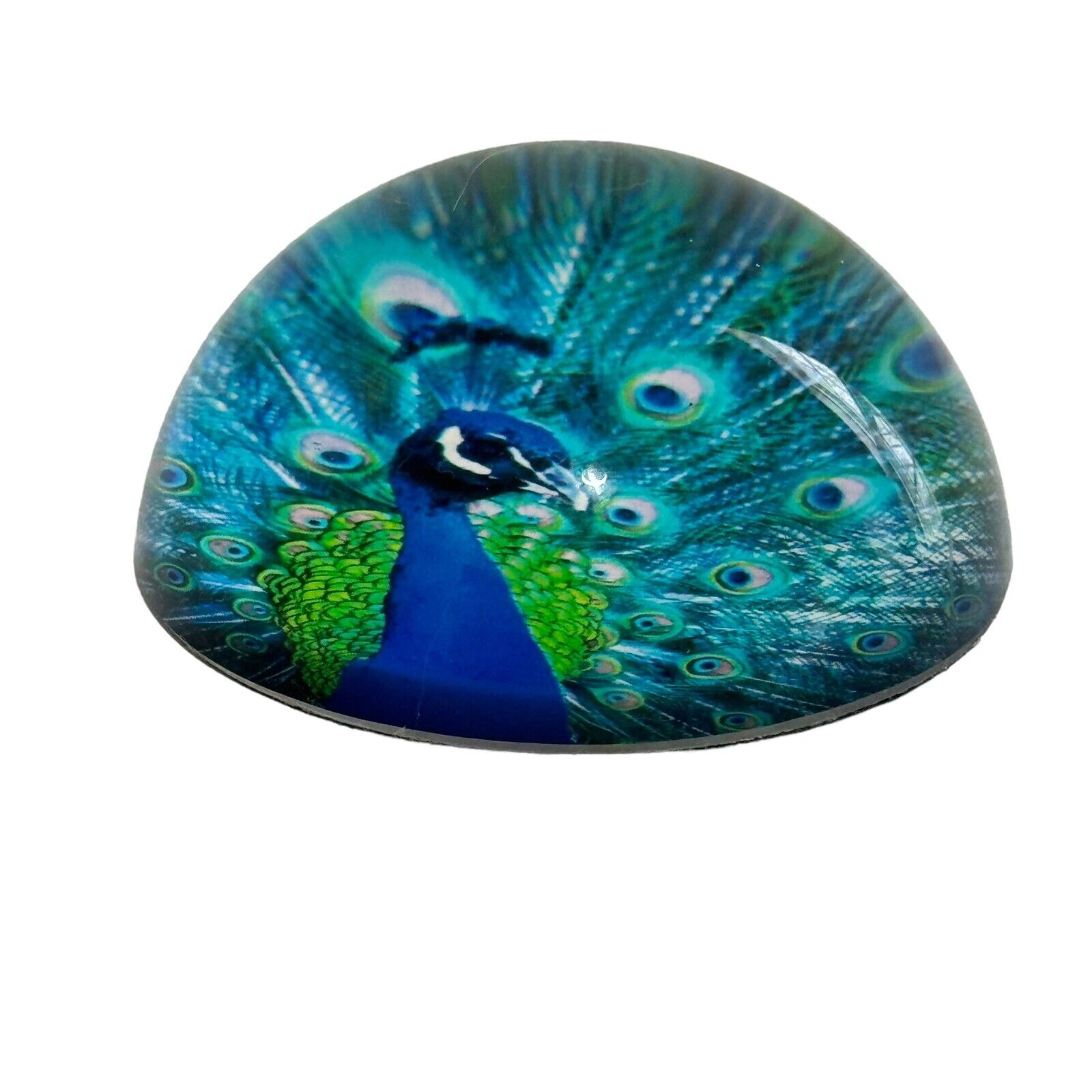 Peacock Art Glass Paperweight Vintage Desk Top Colorful Office Round Dome Bird