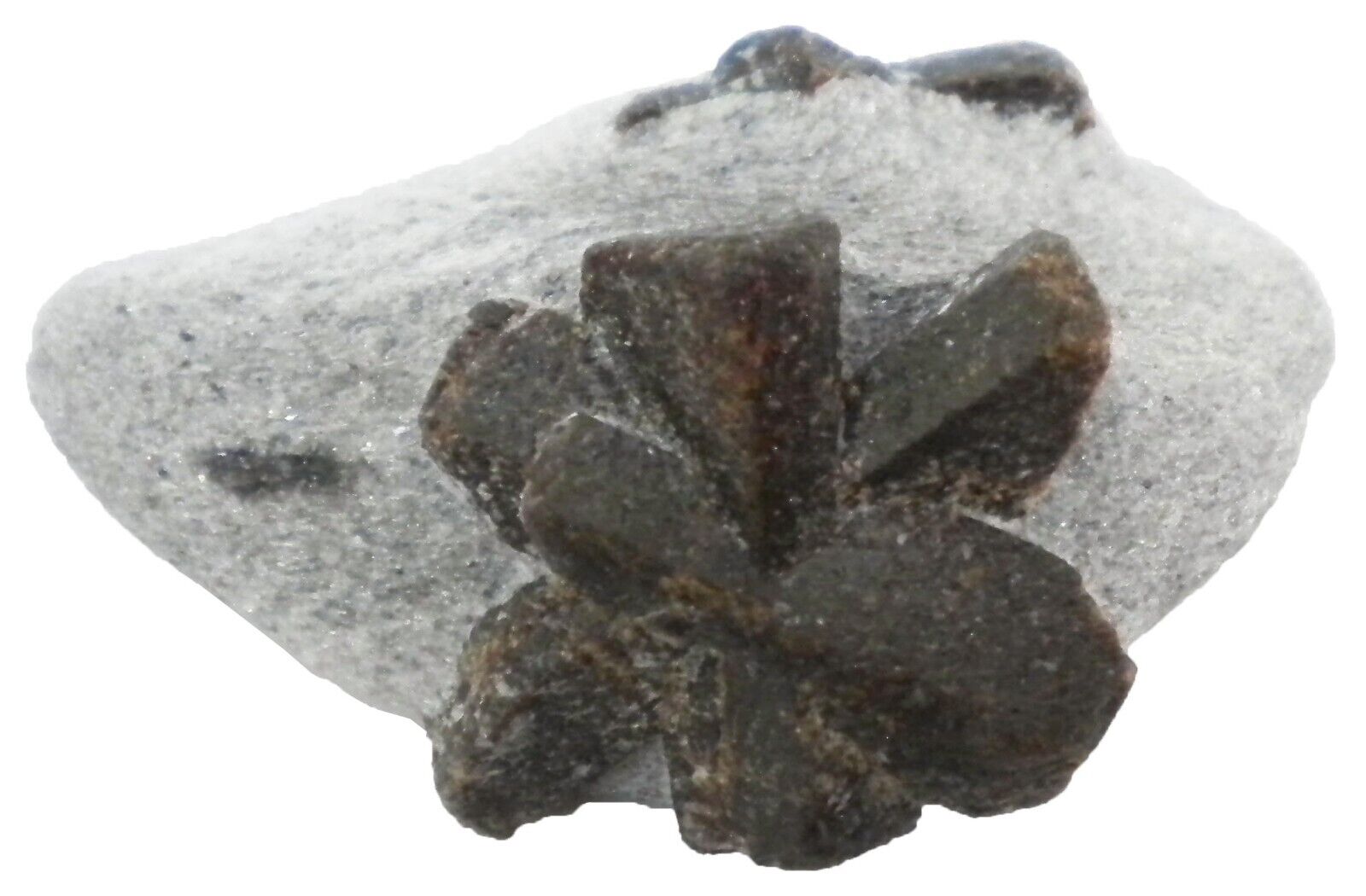 Staurolite - 38 gram -2 x 1.25