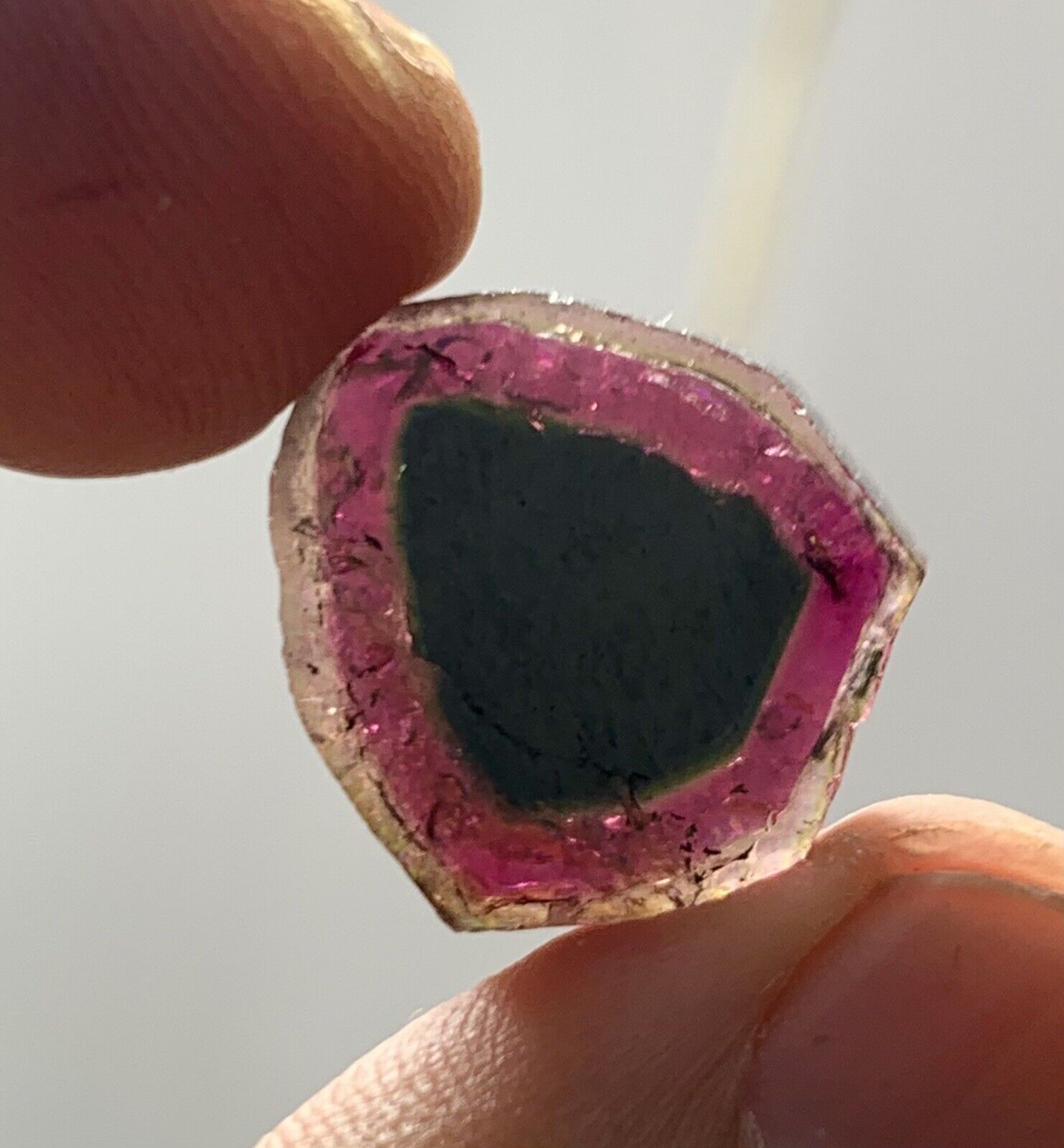 16 CT  Tri  Color TOURMALINE POLISHED SLICES FROM  AFGHANISTAN
