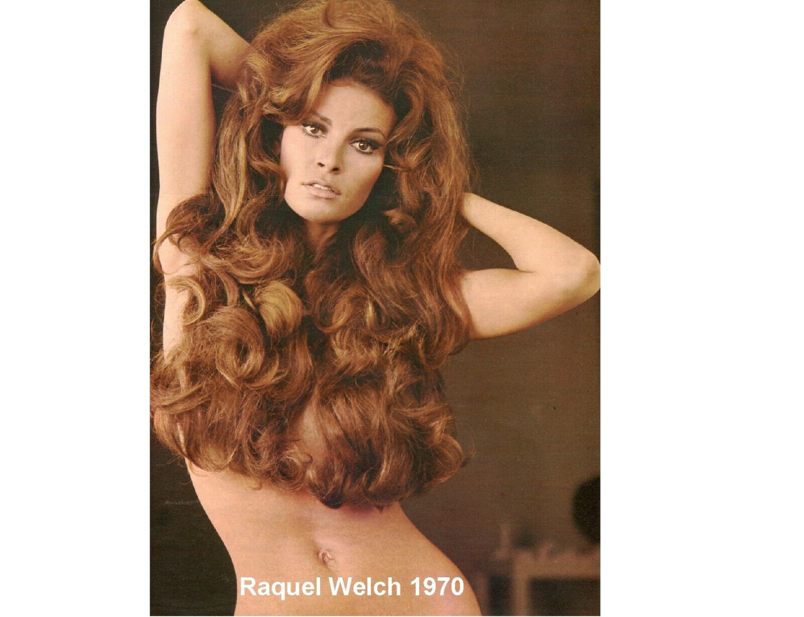 Raquel Welch Sexy 1970\'s Pose Refrigerator / Tool Box  Magnet