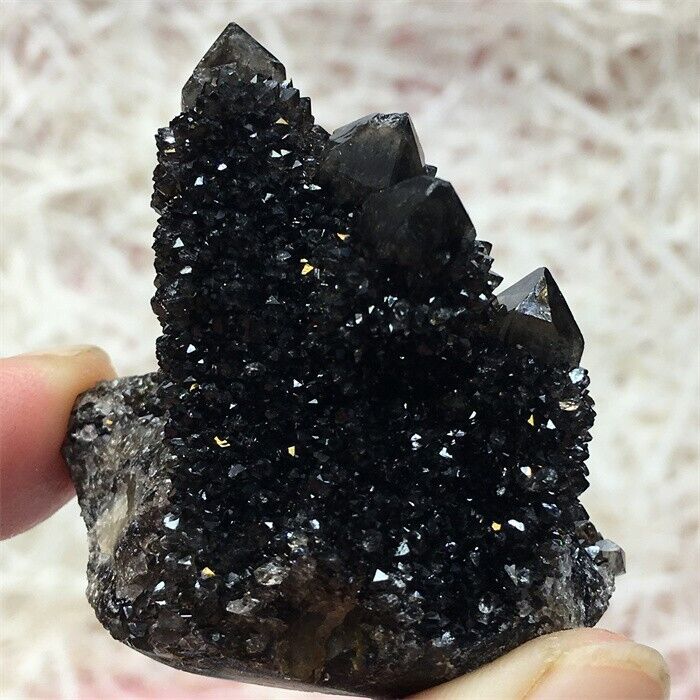 45.6g Rare SMOKY PHANTOM SPIRIT QUARTZ Fairy Cactus Crystal Mineral Cluster