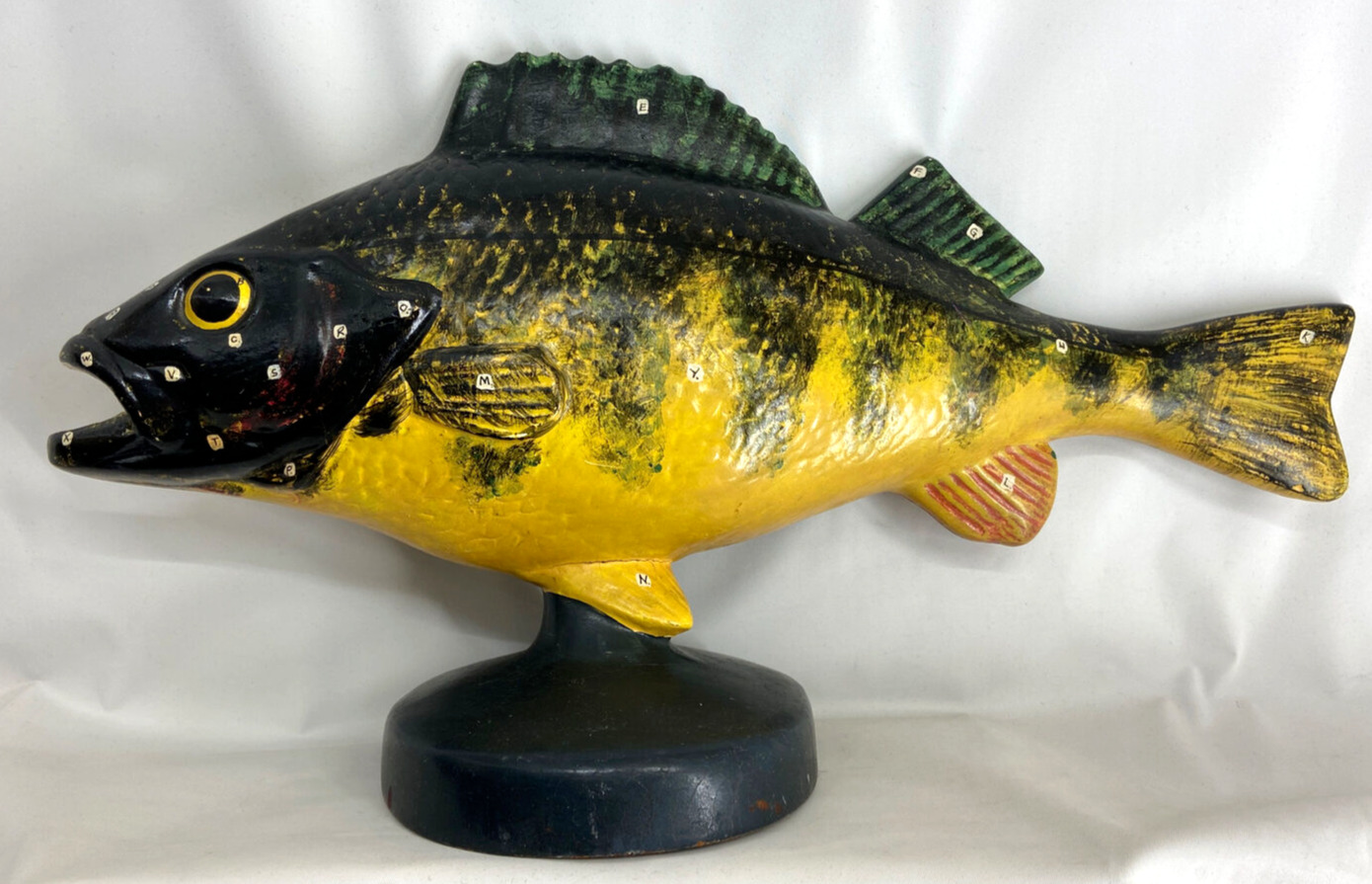 Vintage 1960s Turtox Latex Medical Fish 3D Model Biological Scientist Display