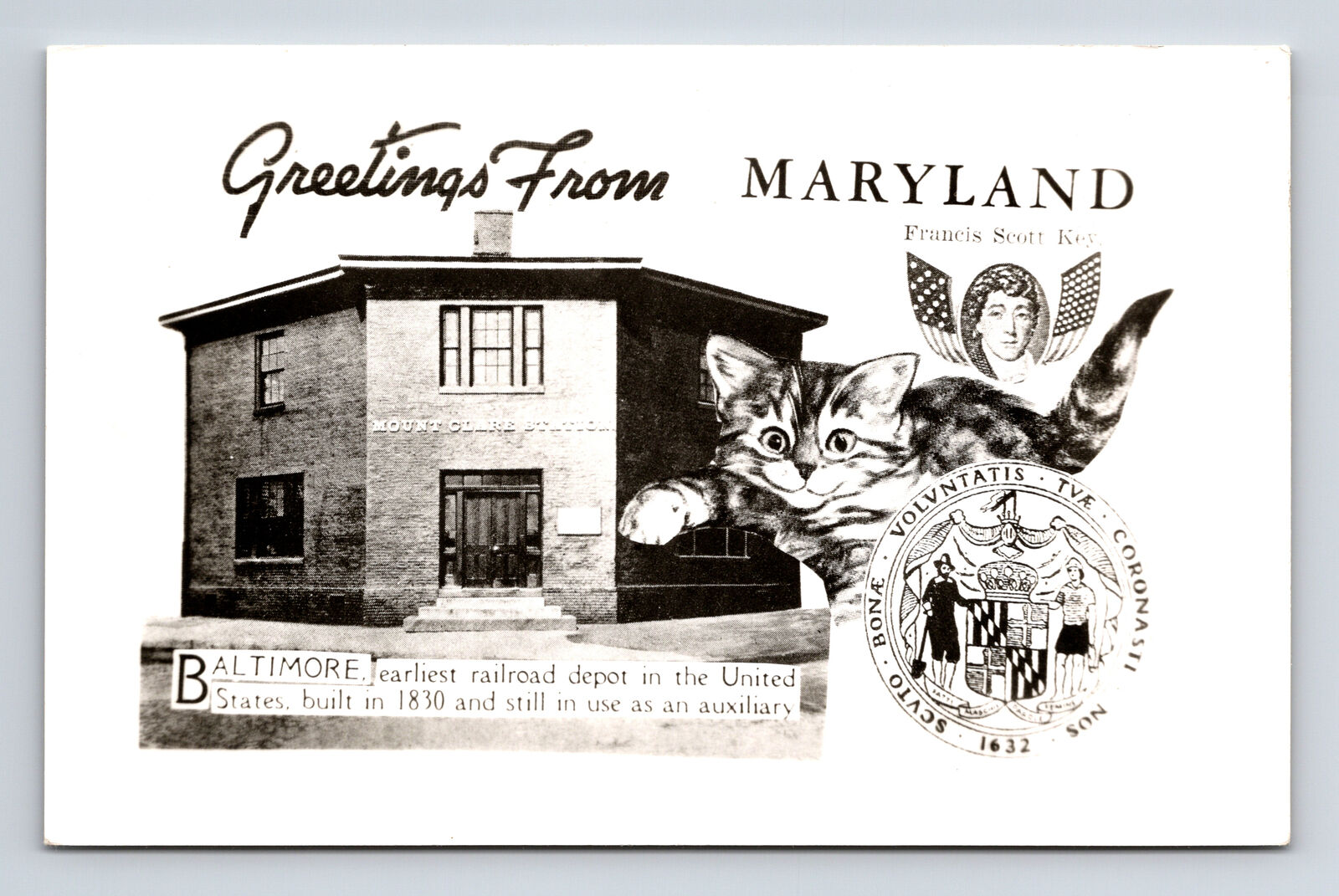 RPPC Collage Greetings State Seal Cat Mount Clare Station Baltimore MD Postcard