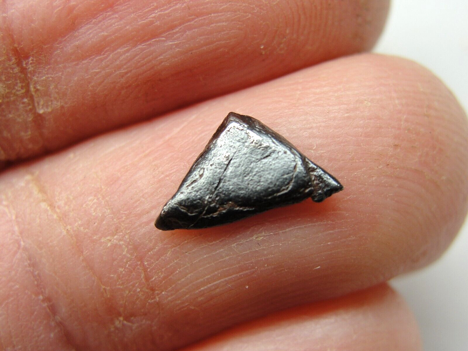 Cape York - Iron IIIAB Meteorite - Greenland - 1818 - YRK-0096 - COA/VERY RARE