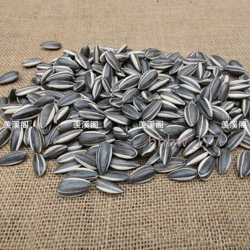 100pcs Art Ai Weiwei Porcelain Sunflower Seeds Decoration Collection US Ship！