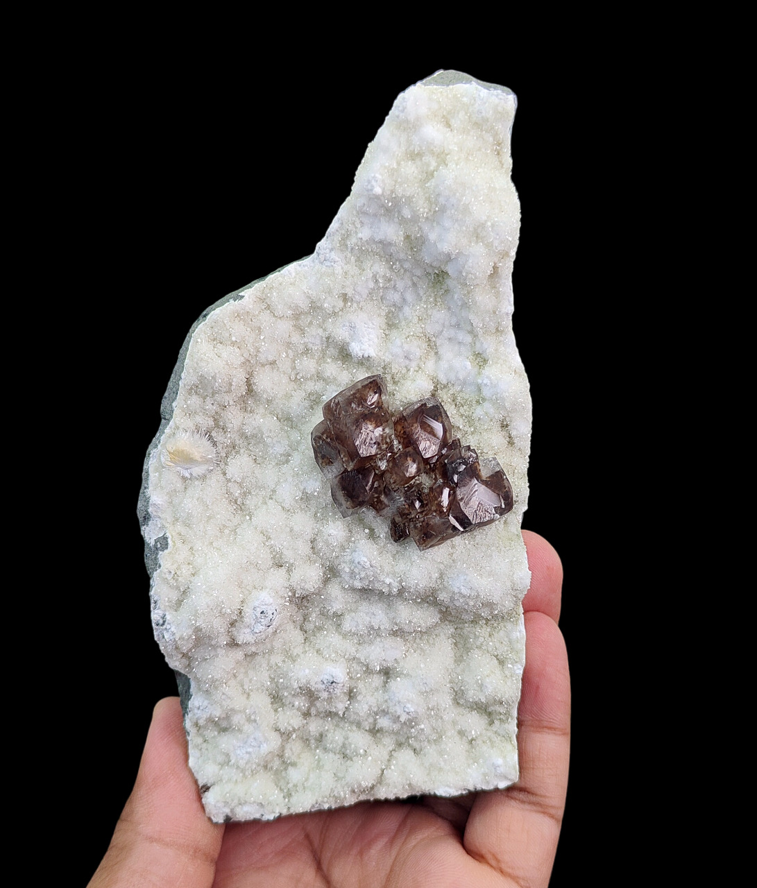 Very Rare Natural Dark Brown Calcite on Base Mineral Specimen #E33