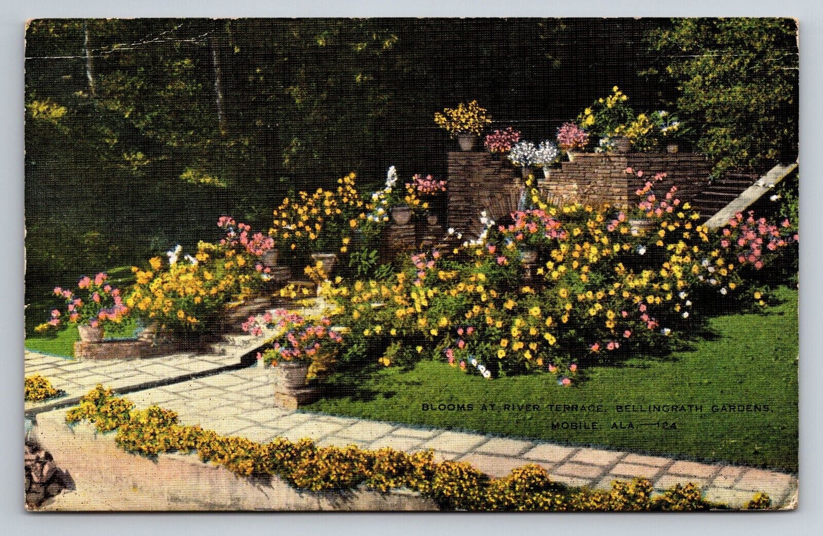 Blooms At River Terrace Bellingrath Gardens Mobile Alabama Linen Postcard