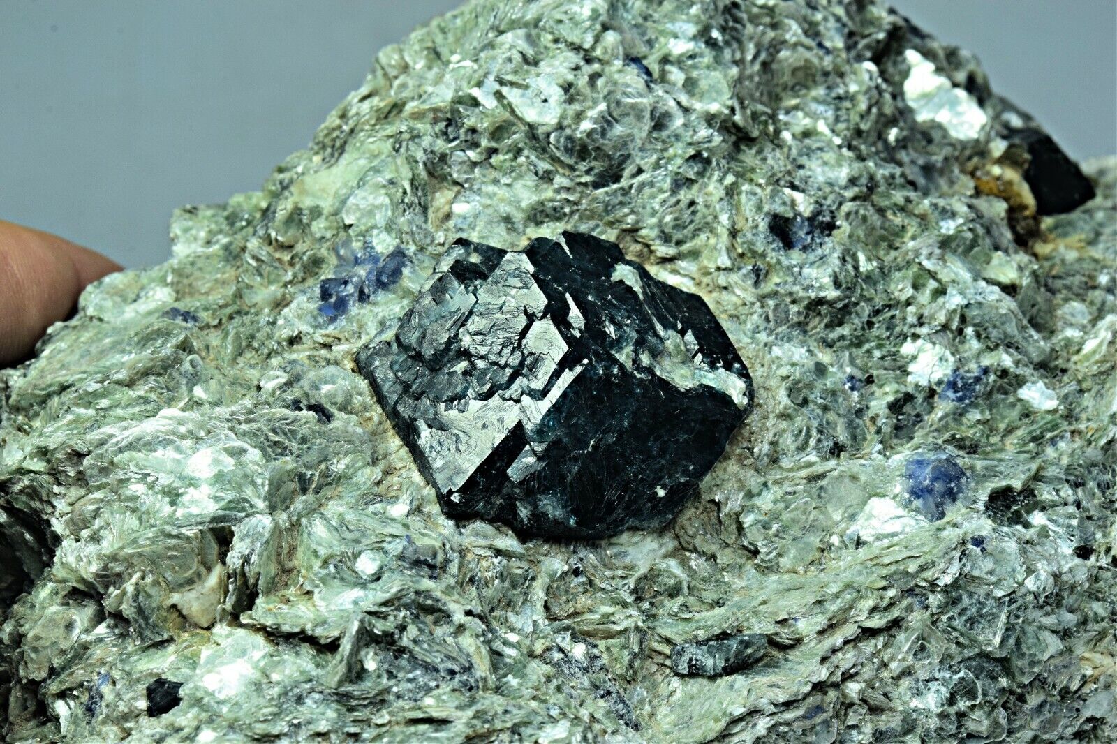 1360 Gram Terminated Dravite Tourmaline Crystals Specimen With sapphire On Mica 