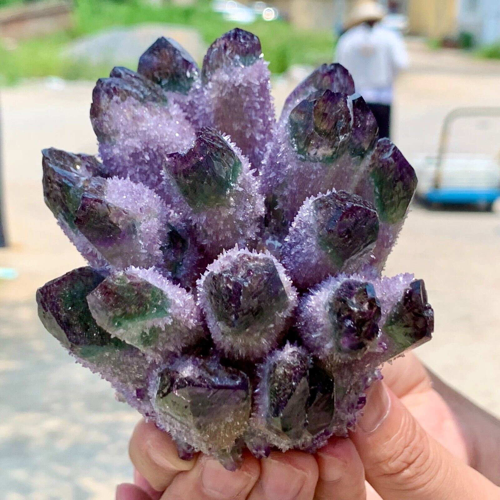 1.19LB New Find Purple Green PhantomQuartz Crystal Cluster MineralSpecimen