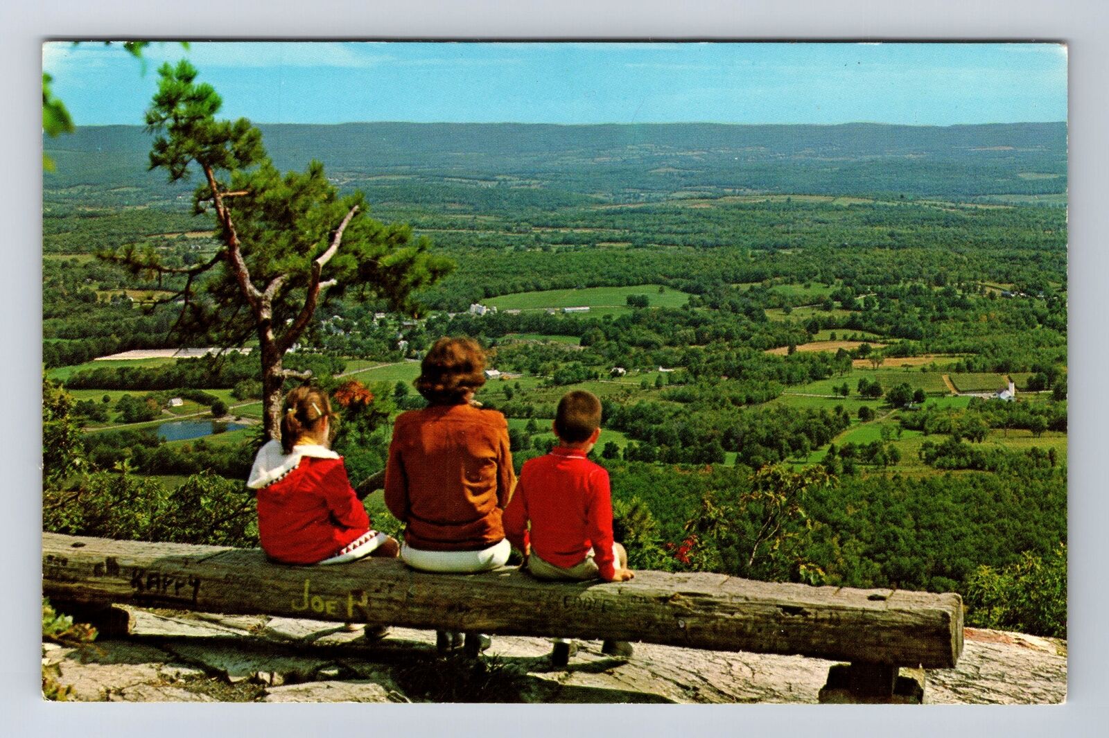 Stokes State Forest NJ-New Jersey Lookout Atop Sunrise Mountain Vintage Postcard