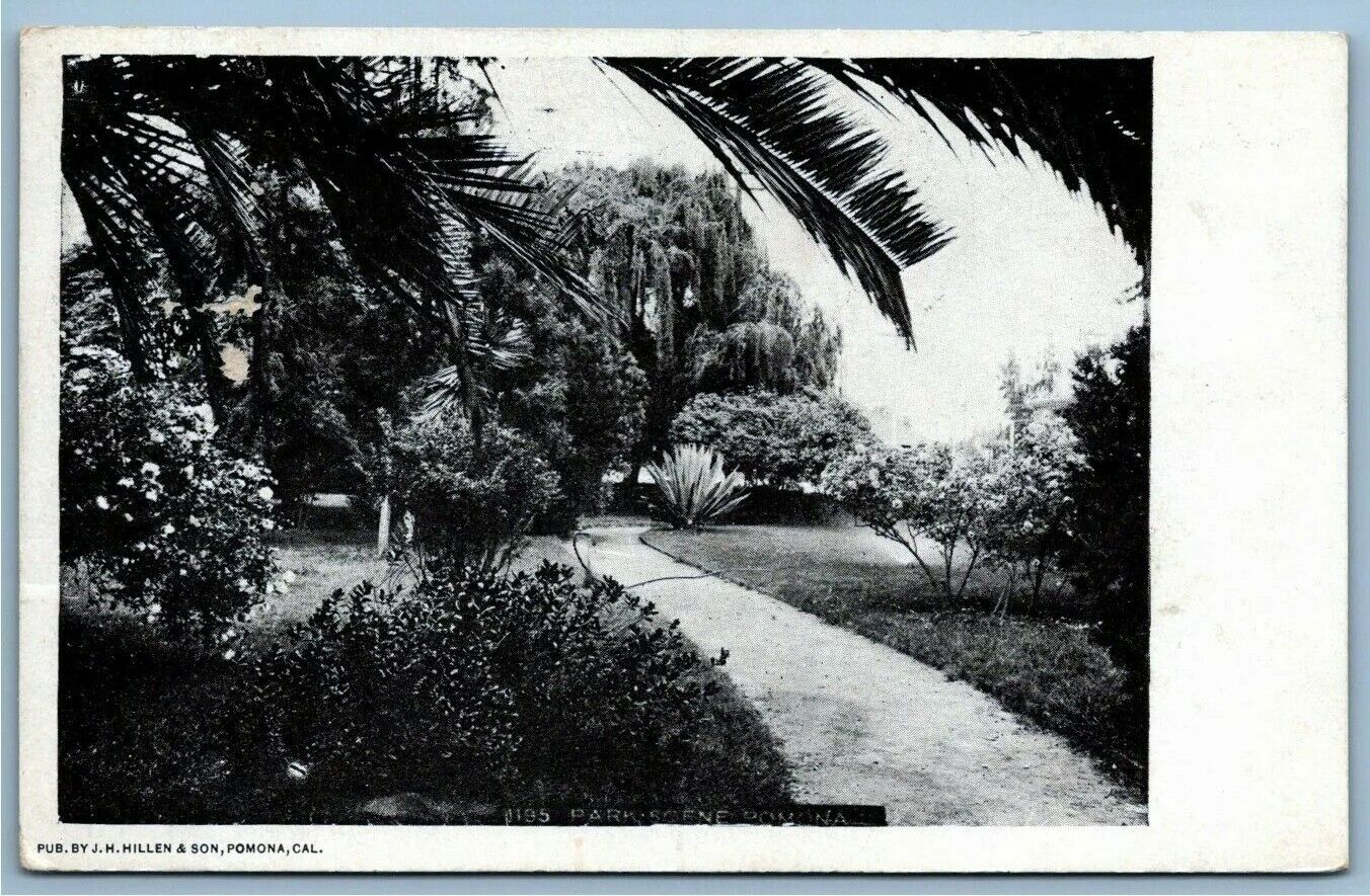 Antique Postcard~ Park Scene~ Pomona, California~ CA