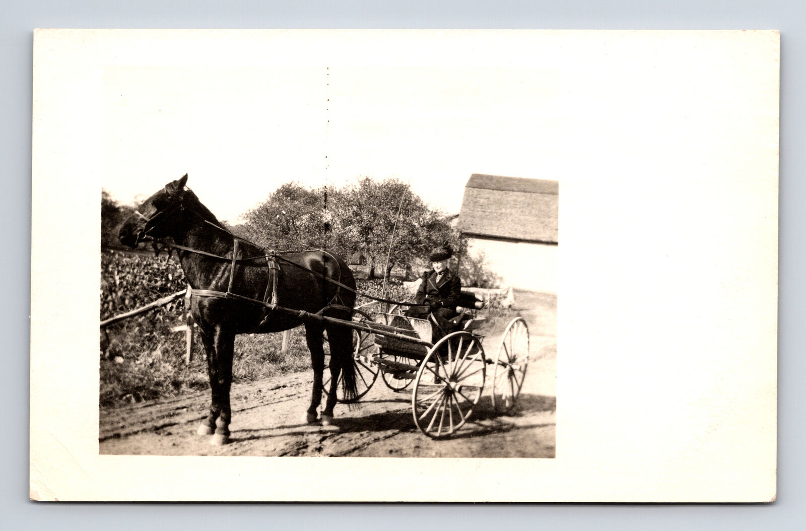 c1913 RPPC Woman in Hat Driving Horse Drawn Buggy Carriage Real Photo Postcard