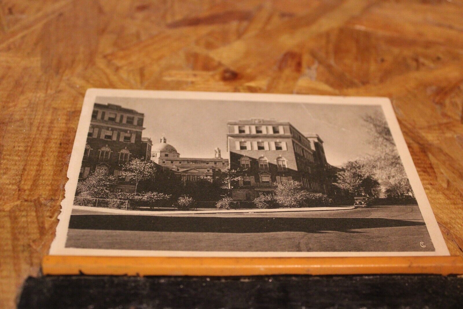 Postcard-X-Yale Univ., New Haven, Conn-Unposted