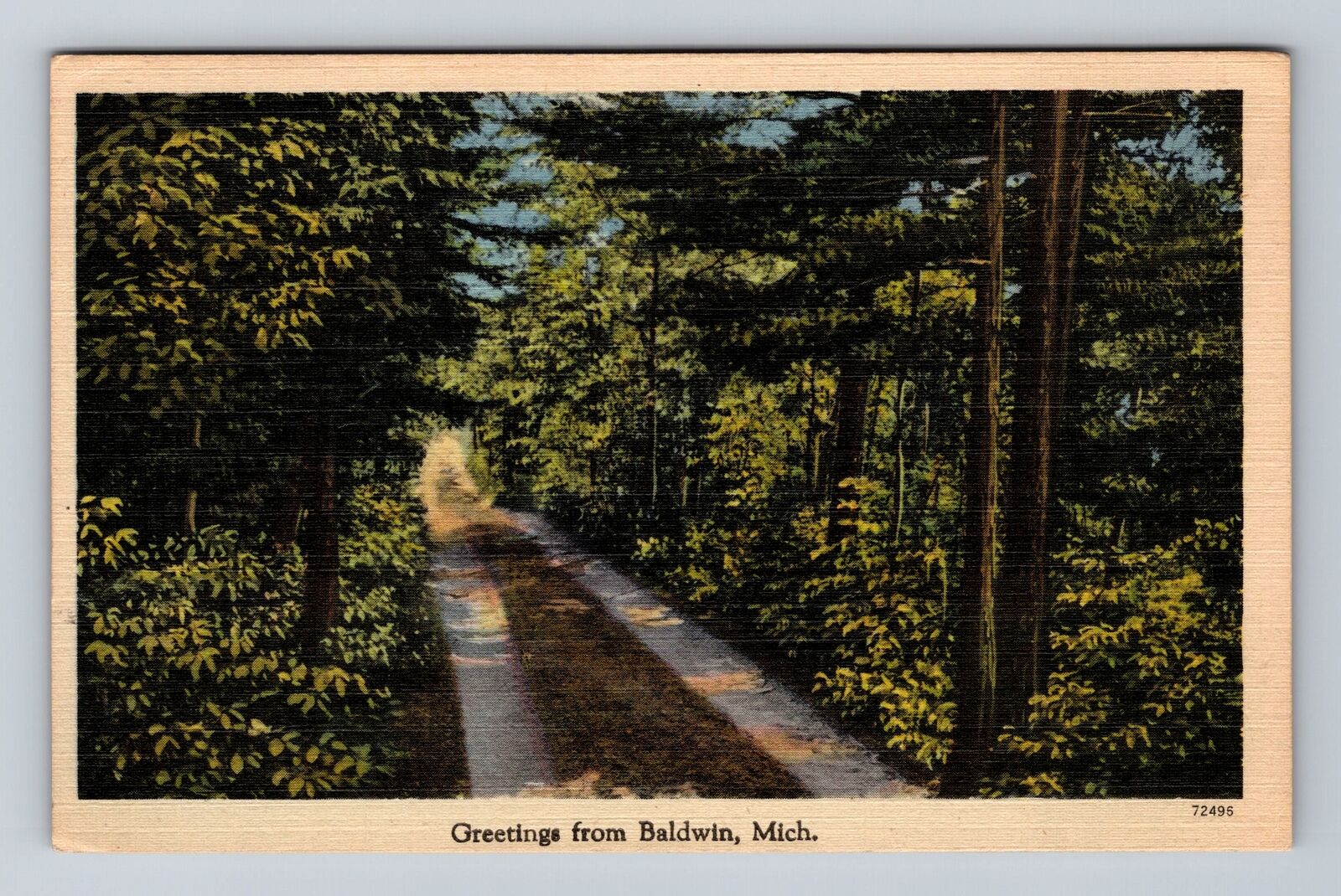 Baldwin MI-Michigan, Scenic Greetings, Roadway, Woods, Vintage c1946 Postcard