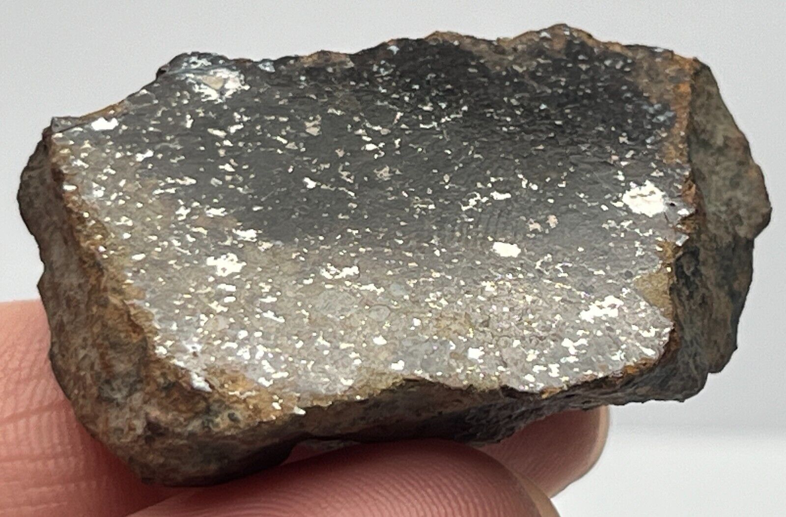 GOLD BASIN 26.12g Polished Meteorite End Cut, L4 Chondrite, IMCA Sellers