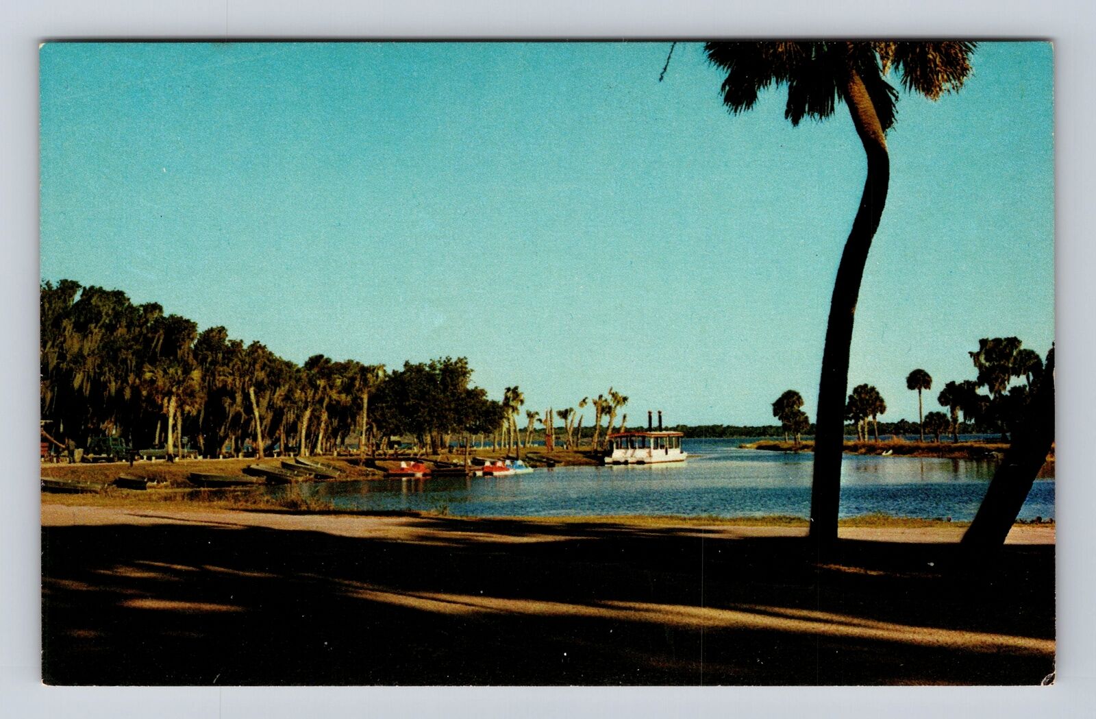 Sarasota FL-Florida, Myakka River State Park, Palms, Boats, Vintage Postcard