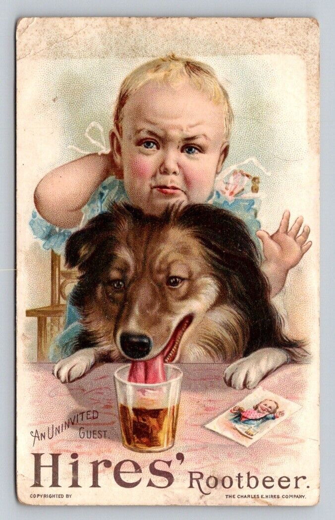 Hires Root Beer Baby Collie Dog Drinking From Glass P135